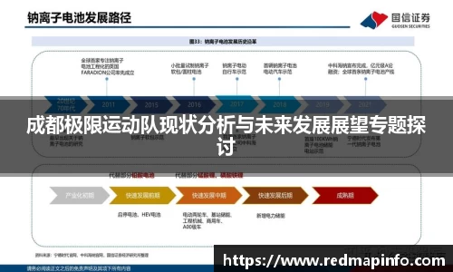 成都极限运动队现状分析与未来发展展望专题探讨