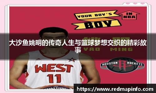 大沙鱼姚明的传奇人生与篮球梦想交织的精彩故事