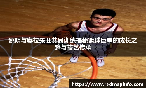 姚明与奥拉朱旺共同训练揭秘篮球巨星的成长之路与技艺传承