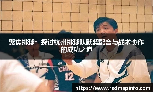 聚焦排球：探讨杭州排球队默契配合与战术协作的成功之道