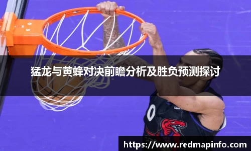 猛龙与黄蜂对决前瞻分析及胜负预测探讨