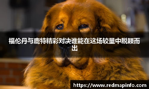 福伦丹与鹿特精彩对决谁能在这场较量中脱颖而出