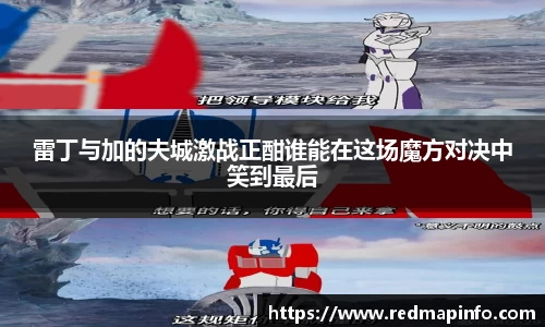 雷丁与加的夫城激战正酣谁能在这场魔方对决中笑到最后
