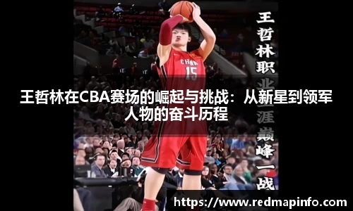 王哲林在CBA赛场的崛起与挑战：从新星到领军人物的奋斗历程
