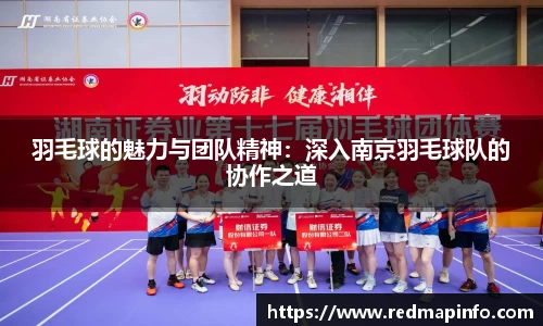 羽毛球的魅力与团队精神：深入南京羽毛球队的协作之道