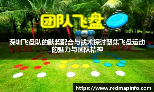 深圳飞盘队的默契配合与战术探讨聚焦飞盘运动的魅力与团队精神